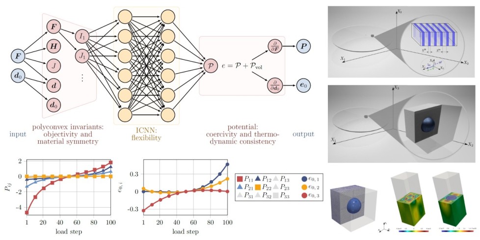 Electro-elasticity PANN