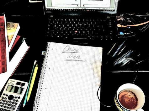 Online Vorllesung Moodle Beispiel